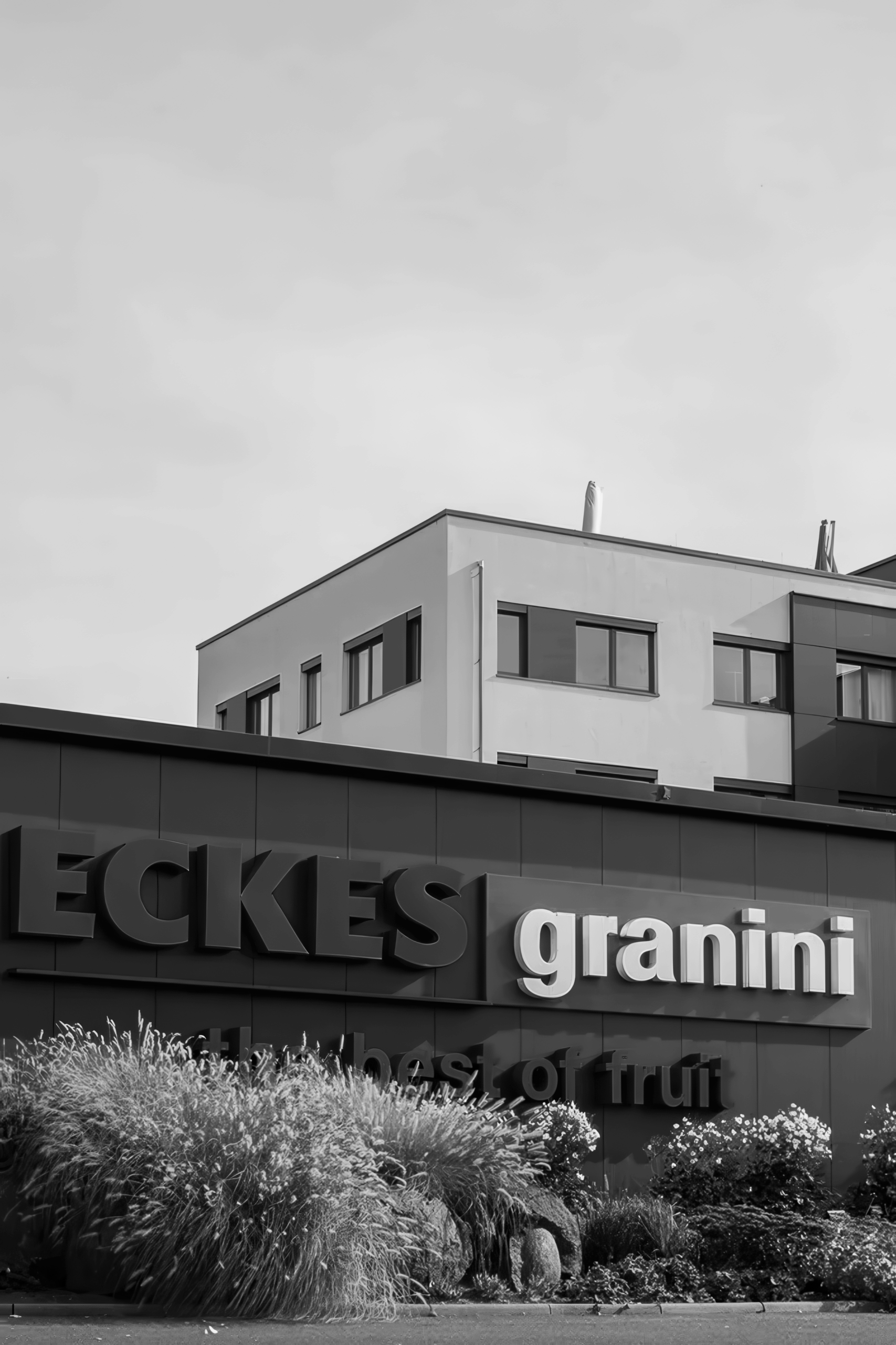 Eckes-Granini Group Business Model & Digital Transformation Program