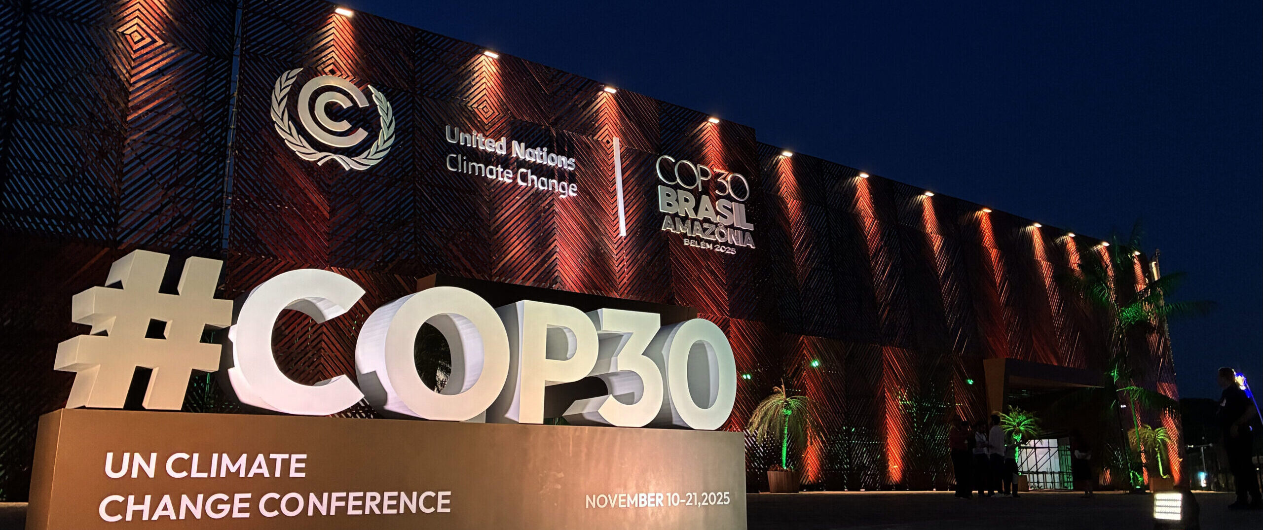 Decoding Strategic Signals from noise at COP 30 conference – What matters for New Leadership strategy