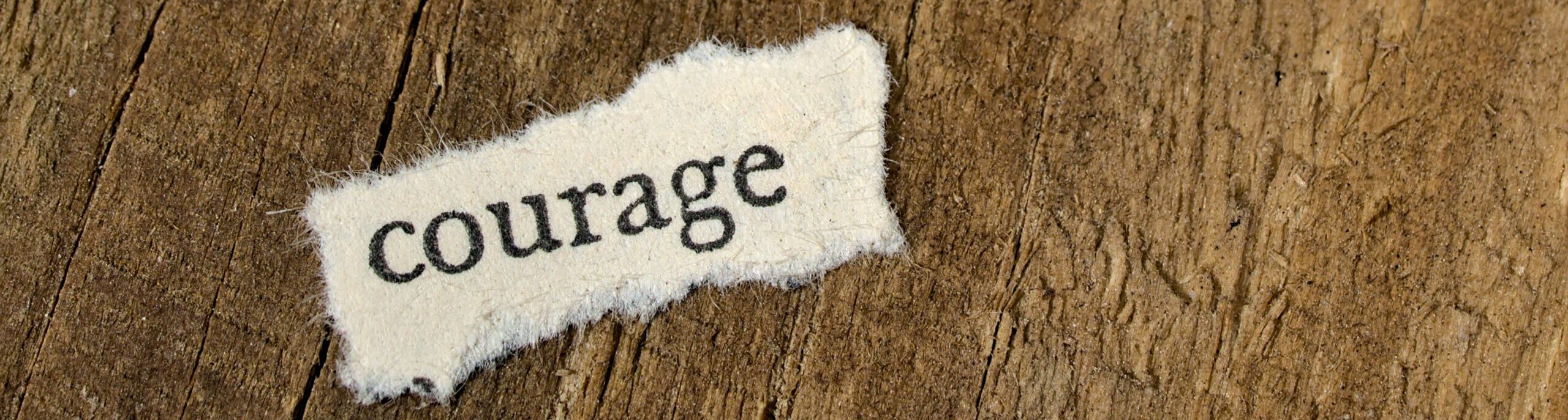  2025 Nobel Prize in Economics – What it teaches us about Leadership in a World of Ambiguity and Accumulated Turbulences